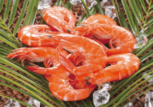 Large Variety of Natural and Cultured Shrimp