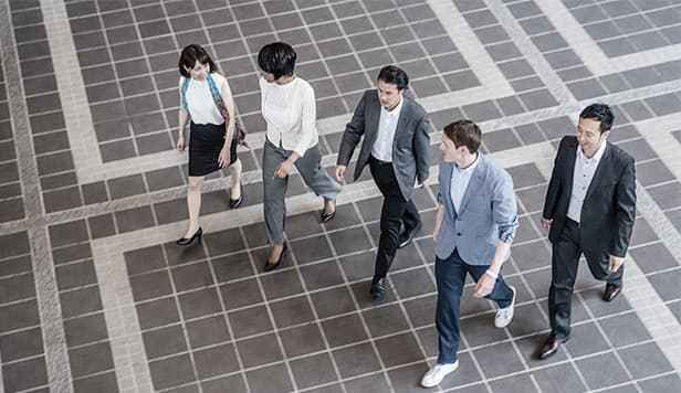 Promotion of Diversity