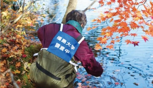 Contributions Through Use of Company Resources