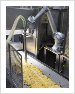 Robots with AI in Food Factories