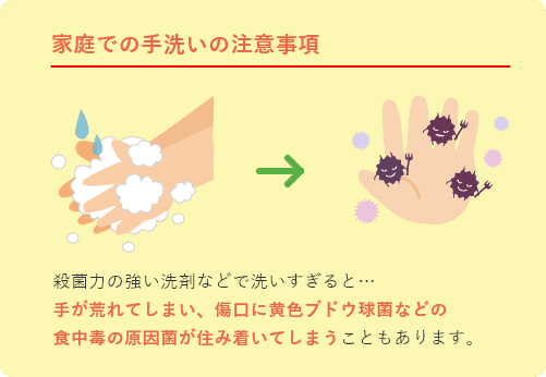 家庭での手洗いの注意事項 殺菌力の強い洗剤などで洗いすぎると…手が荒れてしまい、傷口に黄色ブドウ球菌などの食中毒の原因菌が住み着いてしまうこともあります。