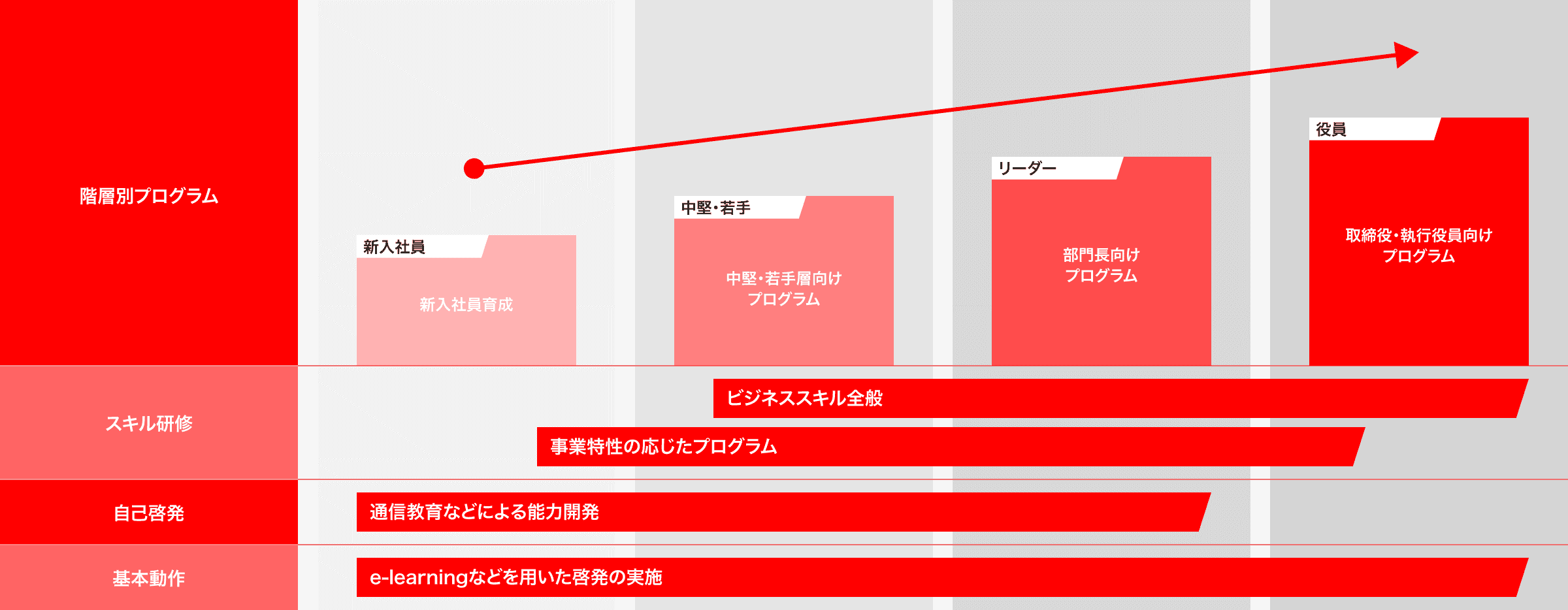研修体系図