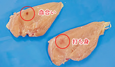 「血合い」と「打ち身」