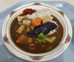 根菜カレー