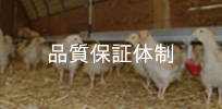 品質保証体制