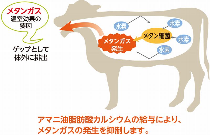 産地での取り組み 株式会社ニチレイ