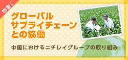 特集1 グローバルサプライチェーンとの協働 中国におけるニチレイグループの取り組み
