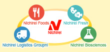 Nichirei Company Information