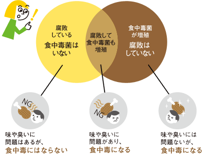 知る ことで食中毒から身を守る 第1回 食中毒の原因とhaccp式予防法 ニチレイ こおらす 知る ことで食中毒から身を守る 第1回 食中毒の原因とhaccp式予防法 ニチレイ こおらす