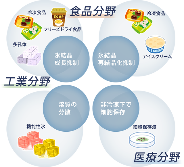 魚類不凍タンパク質の効果とその応用分野 ニチレイの不凍タンパク質 研究開発部門の外販製品 サービス ニチレイ