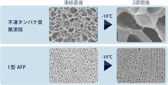 魚類不凍タンパク質の効果とその応用分野|ニチレイの不凍タンパク質