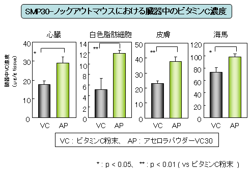 SMP30-ノックアウトマウスにおける臓器中のビタミンＣ濃度